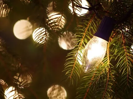 A Yule Story: Barreth The Yuletide Tree