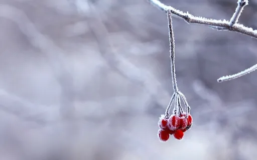 AA  *A Psychological Program