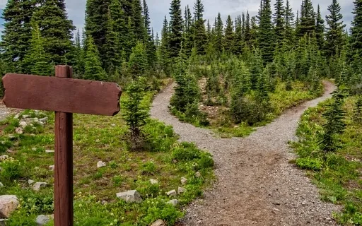 AA  *Daily Inventory