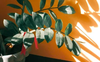 AA  *Nothing Grows In The Dark--Step 10