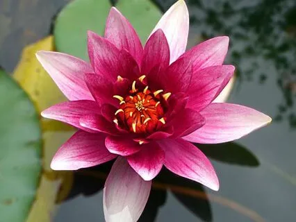 Aad Gurey Nameh - Mantra For Protection