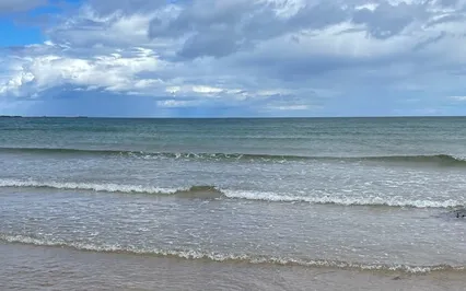 Abandonment Wound - Primal Wound Series