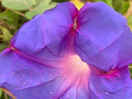 ABC For Overwhelming Difficult Emotions