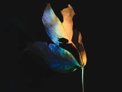 Abertura - O Que vamos Fazer nessa Caminhada?