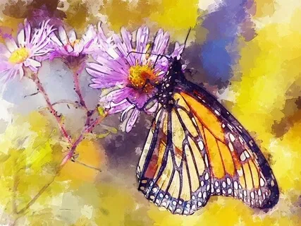 Aboriginal Dreamtime Journey Chant (Didgeridoo Puma Medicine)