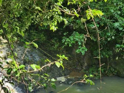 About Letting Go And Releasing What No Longer Serves You