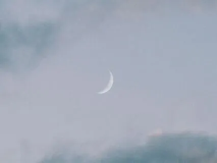 About Past And Future Lifetimes And The Meaning Of Life