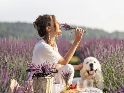 Absolutely Calm Breathing Beats