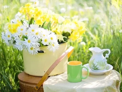 Absolutely Perfect Morning Guided Meditation