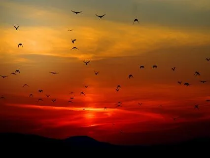 Absorb Energy From The Universe - Ambient Sounds