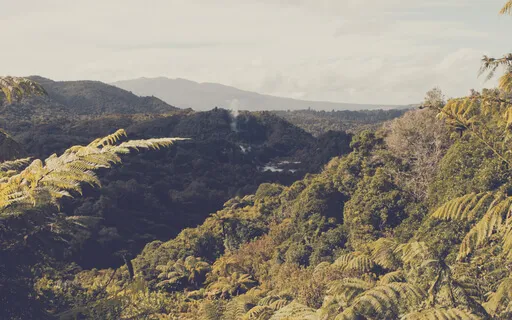 Abundance Activation