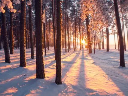 Abundance Activation 777 + 888 + 183.58 Hz Tuning Forks