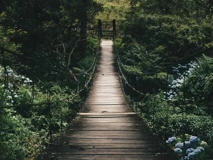 Abundance Activation