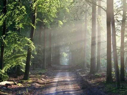 Abundance Affirmation Meditation