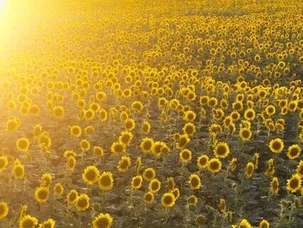 Abundance Affirmation Meditation