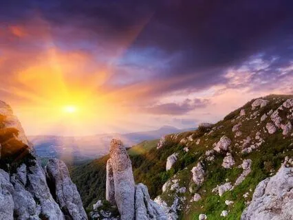 Wealth Positive Affirmations