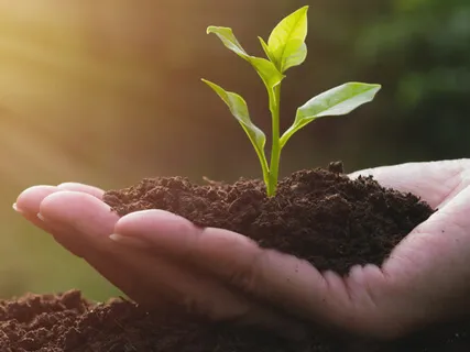 Abundance Affirmations