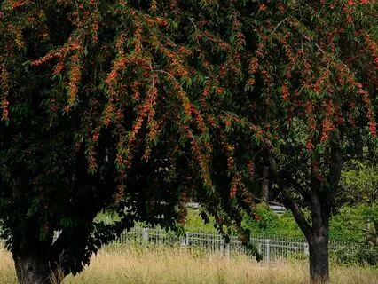 Abundance Affirmations | Heal Your Relationship With Money