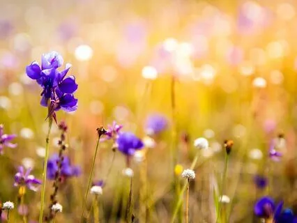 Abundance Alchemy With Archangel Zadkiel And Frequency 888