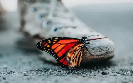 Abundance And Appreciation Affirmations (Gratitude)