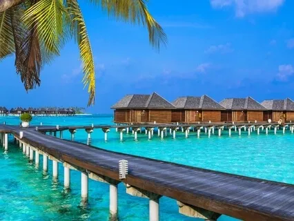 Abundance And Law Of attraction. Manifest Miracles