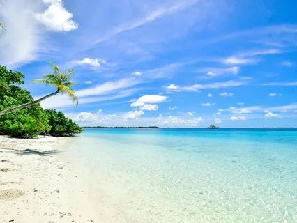 Abundance And Love Transformation With Goddess Aphrodite