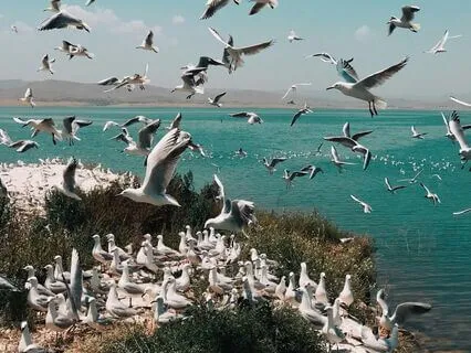 Abundance And Money: Daily Affirmations