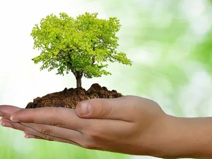 Abundance And Prosperity Affirmations