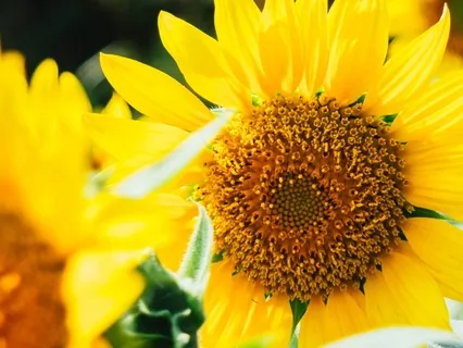 Abundance And Receiving 