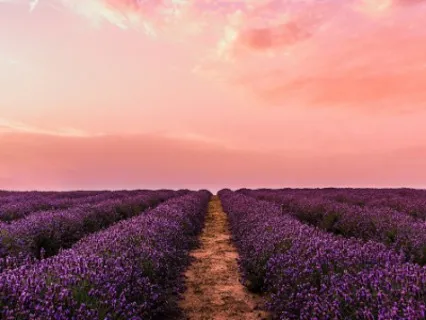 Abundance Begins When You Give