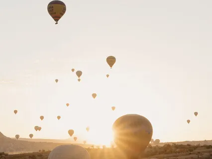 Abundance Blossoming