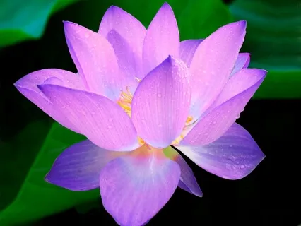 Abundance Chakra Meditation