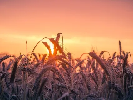 Abundance Code Light Activation 