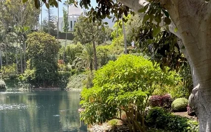 ‘Abundance... Our Word For Today!’