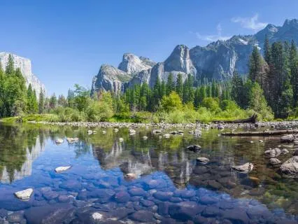 Abundance Energy: 432 Hz + 888 Hz Tuning Forks | Gamma