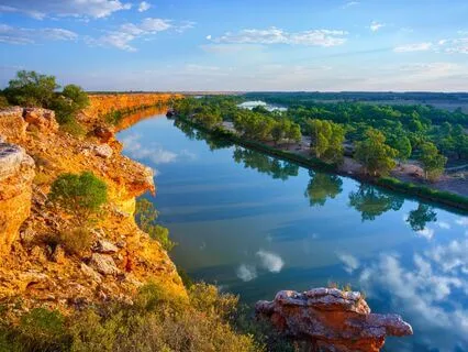Abundance Flow! 432, 777, 888 Hz Tuning Forks (Delta, Noise)