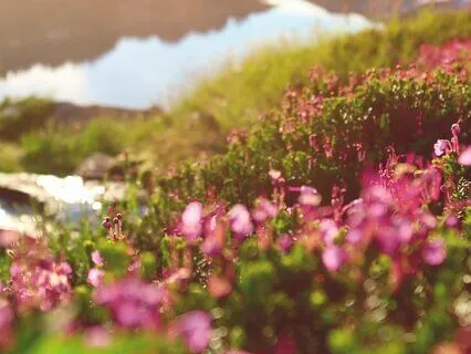 Abundance Flow: Morning Affirmations for Positive Momentum