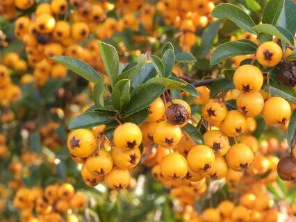 Abundance From Source In Your Life - Sound Healing Music