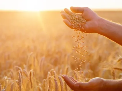 Abundance Guided Practice: Attract Abundance And Clear Blockages To Receiving