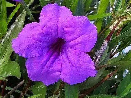 Abundance In Every Corner