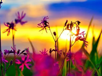 Abundance Is A State Of Mind