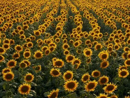 Abundance Is All That You Are