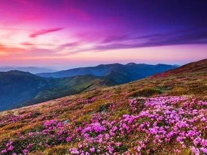Abundance Is Choosing You 111, 777, 888 Hz Tuning Forks