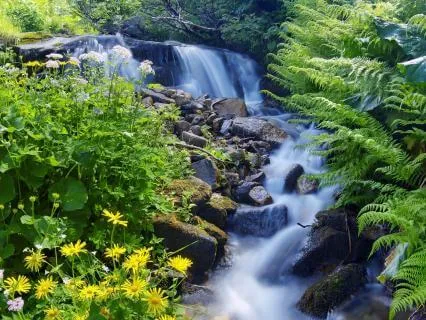 Abundance Is Moving In Your Favor | Tuning Forks (Gamma)