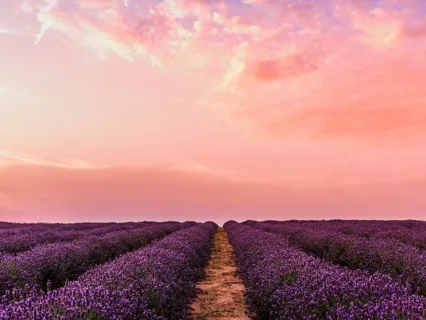 Abundance Is Our Birthright