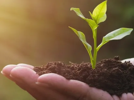 Connecting To Abundance - Long Music Version