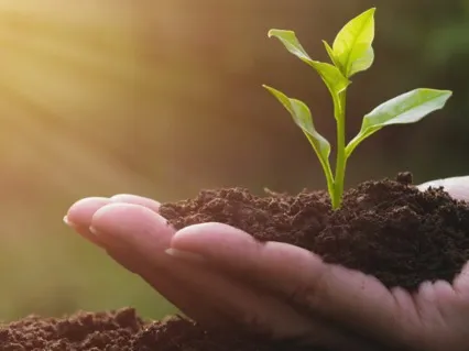 Connecting To Abundance (Short Music Version)