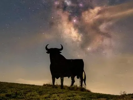 Abundance & Luck — Shamanic Bull Ritual For Inner Power