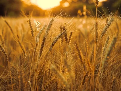 Abundance Mantra Song