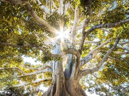 Abundance Mantra V.2